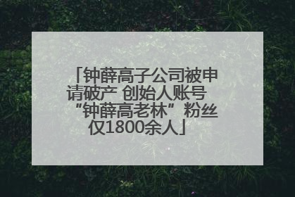 钟薛高子公司被申请破产 创始人账号“钟薛高老林”粉丝仅1800余人