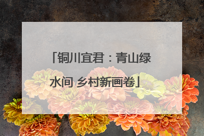 铜川宜君：青山绿水间 乡村新画卷