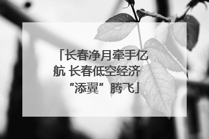 长春净月牵手亿航 长春低空经济“添翼”腾飞