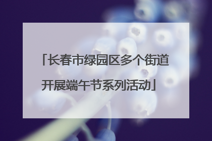 长春市绿园区多个街道开展端午节系列活动
