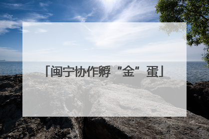 闽宁协作孵“金”蛋