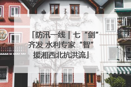 防汛一线｜七“剑”齐发 水利专家“智”援湘西北抗洪流