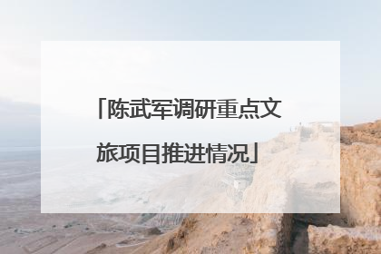 陈武军调研重点文旅项目推进情况
