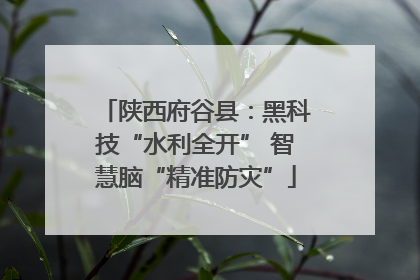 陕西府谷县：黑科技“水利全开” 智慧脑“精准防灾”