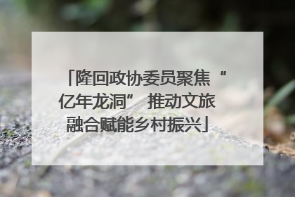 隆回政协委员聚焦“亿年龙洞” 推动文旅融合赋能乡村振兴