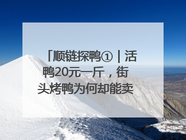 顺链探鸭①｜活鸭20元一斤，街头烤鸭为何却能卖到20多元一只