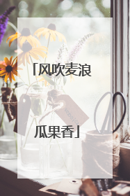 风吹麦浪 瓜果香