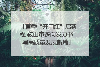 首季“开门红”启新程 鞍山市多向发力书写高质量发展新篇