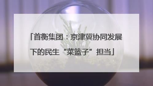 首衡集团：京津冀协同发展下的民生“菜篮子”担当