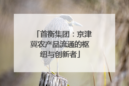 首衡集团：京津冀农产品流通的枢纽与创新者