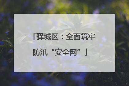 驿城区：全面筑牢防汛“安全网”