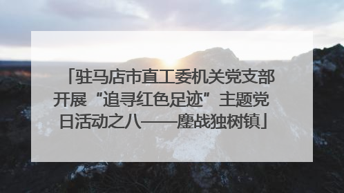 驻马店市直工委机关党支部开展“追寻红色足迹”主题党日活动之八——鏖战独树镇