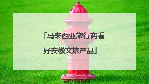 马来西亚旅行商看好安徽文旅产品