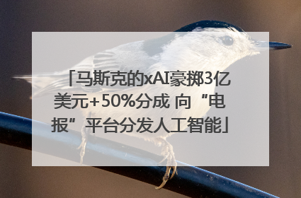 马斯克的xAI豪掷3亿美元+50%分成 向“电报”平台分发人工智能
