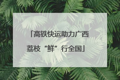 高铁快运助力广西荔枝“鲜”行全国