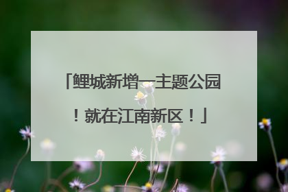 鲤城新增一主题公园！就在江南新区！
