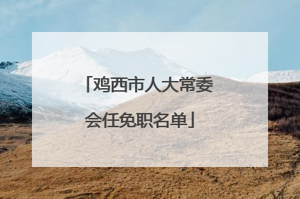 鸡西市人大常委会任免职名单