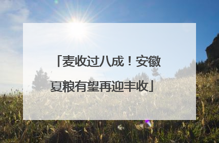 麦收过八成！安徽夏粮有望再迎丰收