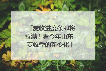 麦收进度条即将拉满！看今年山东麦收季的新变化