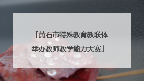 黄石市特殊教育教联体举办教师教学能力大赛