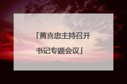 黄喜忠主持召开书记专题会议