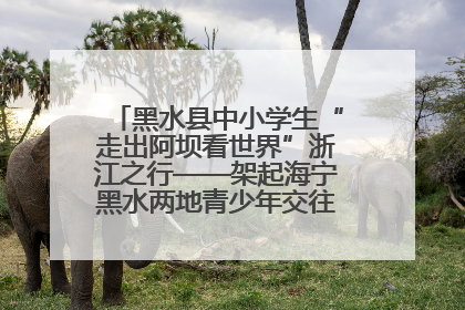 黑水县中小学生“走出阿坝看世界”浙江之行——架起海宁黑水两地青少年交往交流交融新桥梁