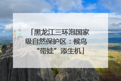 黑龙江三环泡国家级自然保护区：候鸟“带娃”添生机