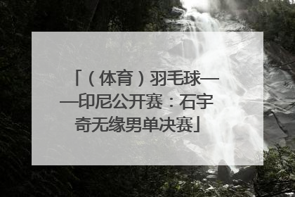 （体育）羽毛球——印尼公开赛：石宇奇无缘男单决赛
