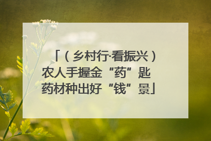 （乡村行·看振兴）农人手握金“药”匙 药材种出好“钱”景