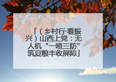 （乡村行·看振兴）山西上党：无人机“一喷三防”筑夏粮丰收屏障