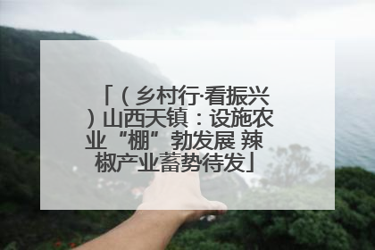 （乡村行·看振兴）山西天镇：设施农业“棚”勃发展 辣椒产业蓄势待发