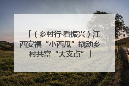 （乡村行·看振兴）江西安福“小西瓜”撬动乡村共富“大支点”