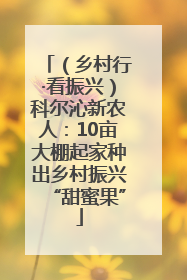（乡村行·看振兴）科尔沁新农人：10亩大棚起家种出乡村振兴“甜蜜果”