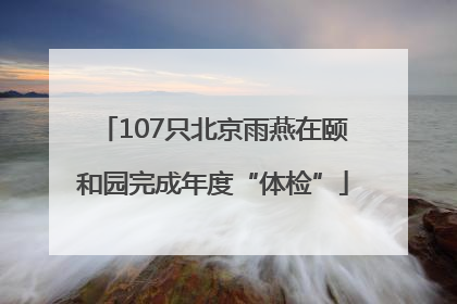 107只北京雨燕在颐和园完成年度“体检”