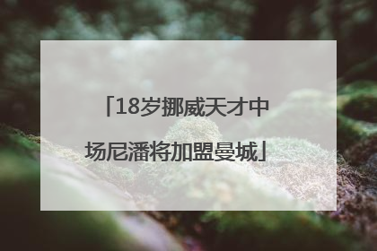 18岁挪威天才中场尼潘将加盟曼城