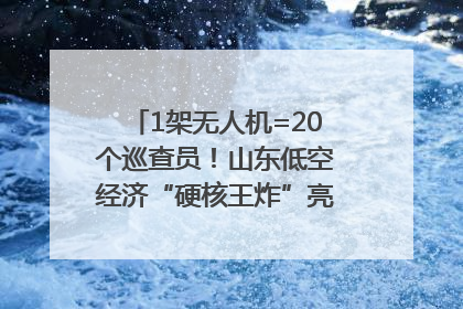 1架无人机=20个巡查员！山东低空经济“硬核王炸”亮相青岛，下一个万亿赛道藏在这里