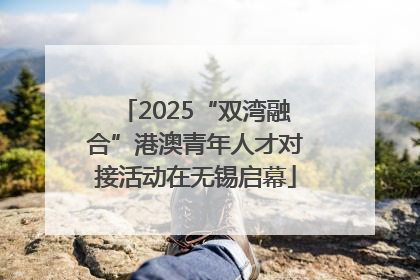 2025“双湾融合”港澳青年人才对接活动在无锡启幕