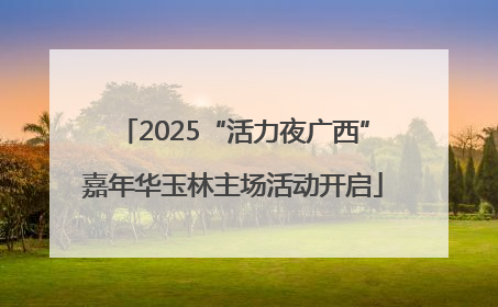 2025“活力夜广西”嘉年华玉林主场活动开启