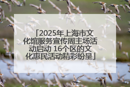 2025年上海市文化馆服务宣传周主场活动启动 16个区的文化惠民活动精彩纷呈