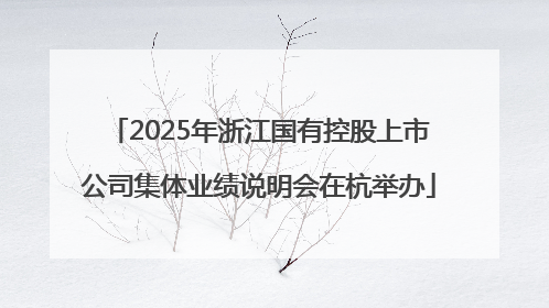 2025年浙江国有控股上市公司集体业绩说明会在杭举办