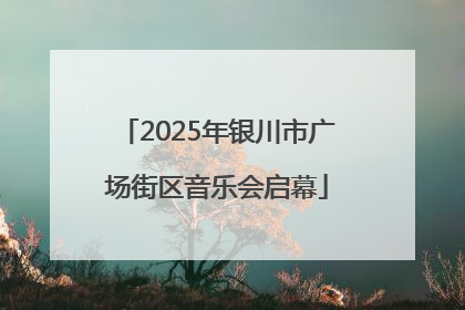 2025年银川市广场街区音乐会启幕