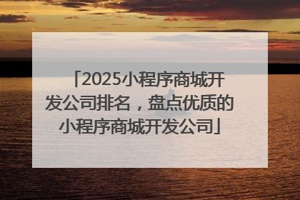 2025小程序商城开发公司排名，盘点优质的小程序商城开发公司