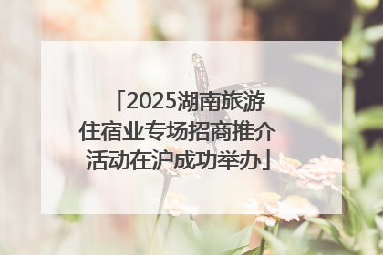 2025湖南旅游住宿业专场招商推介活动在沪成功举办