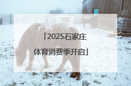 2025石家庄体育消费季开启