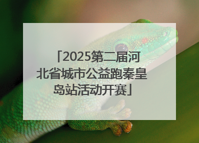 2025第二届河北省城市公益跑秦皇岛站活动开赛