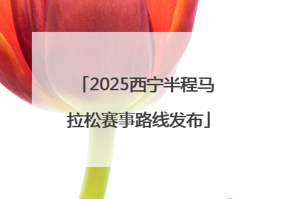 2025西宁半程马拉松赛事路线发布