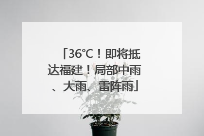 36℃！即将抵达福建！局部中雨、大雨、雷阵雨