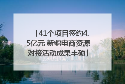 41个项目签约4.5亿元 新疆电商资源对接活动成果丰硕