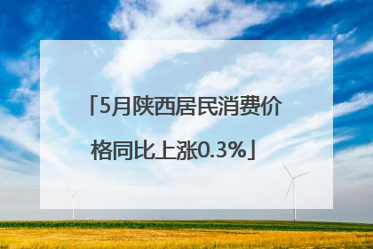 5月陕西居民消费价格同比上涨0.3%