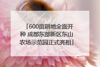 600亩耕地全面开种 成都东部新区东山农场示范园正式亮相